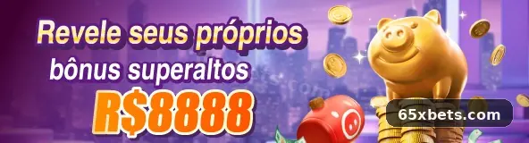 65x suporte